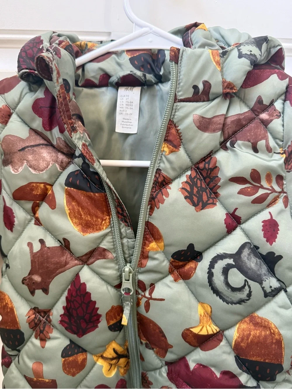 H&M Sage Green Kids Hooded Puffer Jacket with Autumn Motif